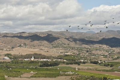 Flock of birds flying over landscape against sky