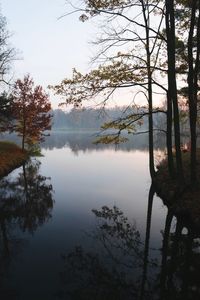 Reflection of trees in lake against sky