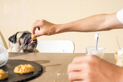 Cropped hand of man feeding dog