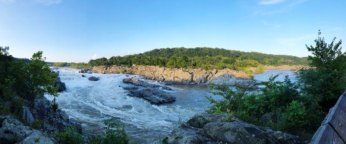 Scenic view of river amidst trees against sky