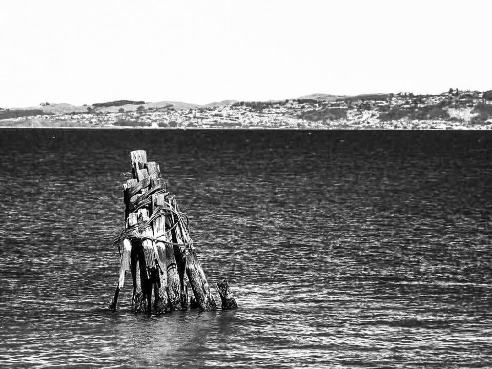 VIEW OF PERSON IN SEA AGAINST CLEAR SKY