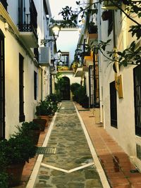 Empty alley amidst buildings in city
