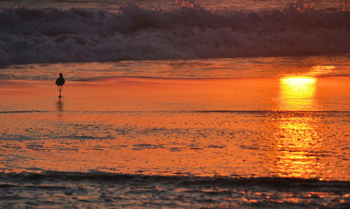 Scenic view of sea against orange sky