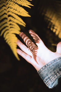 Close-up of hand by plant