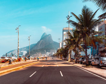 Road by palm trees in city against sky