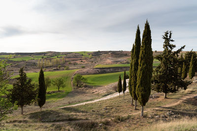 Scenic view of farm against sky