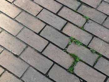 High angle view of cobblestone street