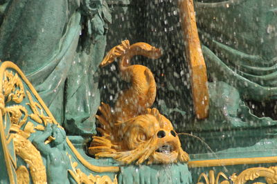 Close-up of birds in water