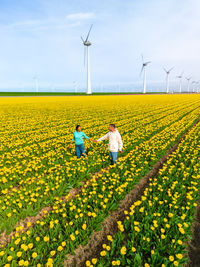 Scenic view of oilseed rape field against sky