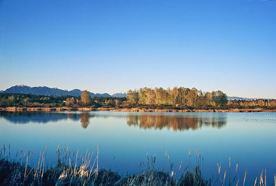 Scenic view of lake against clear blue sky