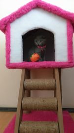 Close-up of stuffed toy on chair at home