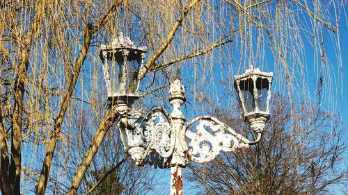 Low angle view of frozen bare trees against blue sky