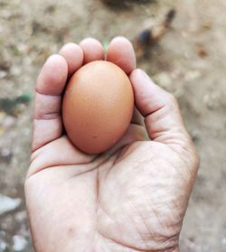 Close-up of hand holding eggs