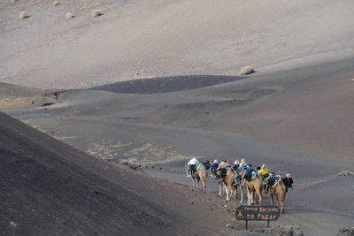 High angle view of people riding motorcycle on desert