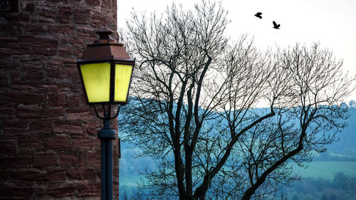 Low angle view of street light against wall