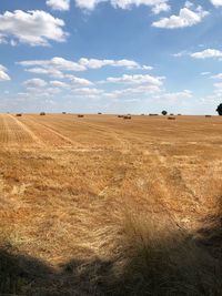 Scenic view of field against sky