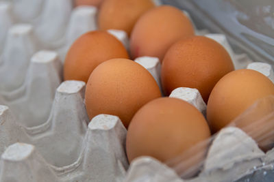 High angle view of eggs in container