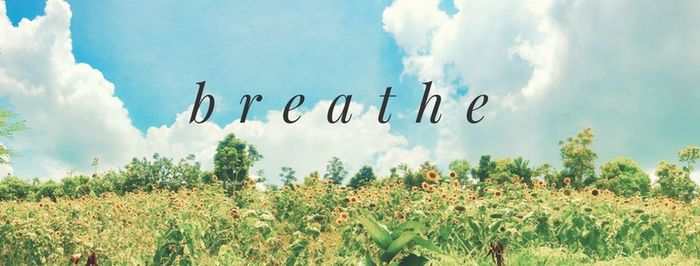 Panoramic view of birds flying against sky