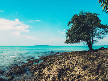 Scenic view of sea against blue sky