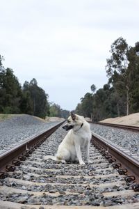 Railroad track