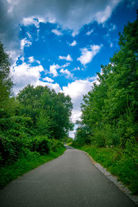 Road amidst trees against sky