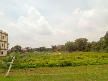 Scenic view of field against cloudy sky