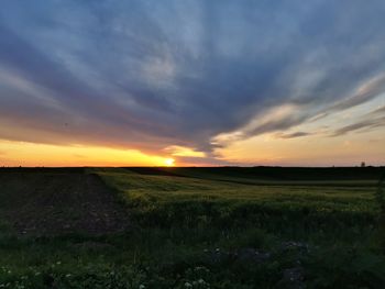 Scenic view of field against sky during sunset