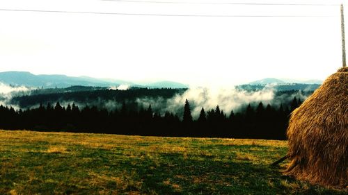 Scenic view of field in forest against clear sky