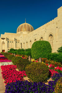 The sultan qaboos grand mosque in muscat, oman.