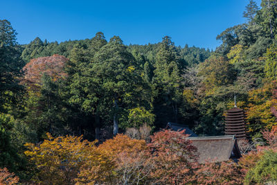 Plants and trees by house in forest against sky