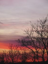 Low angle view of silhouette bare tree against sky during sunset