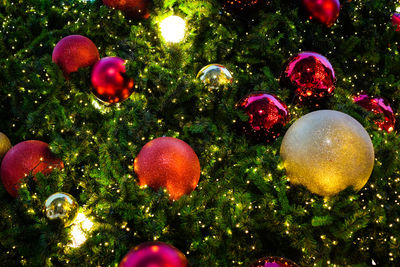 Close-up of christmas lights on tree