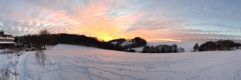 Snow covered trees against sky during sunset