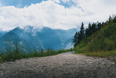 Surface level of road amidst trees against sky