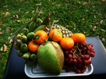 High angle view of fruits on plant