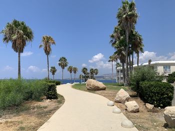 Palm trees on beach against clear sky