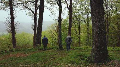 Rear view of people walking in forest