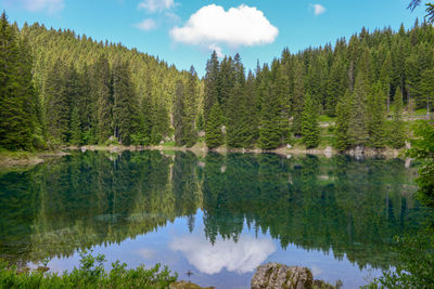 Scenic view of lake by trees against sky