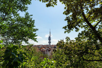 Low angle view of trees and building against sky