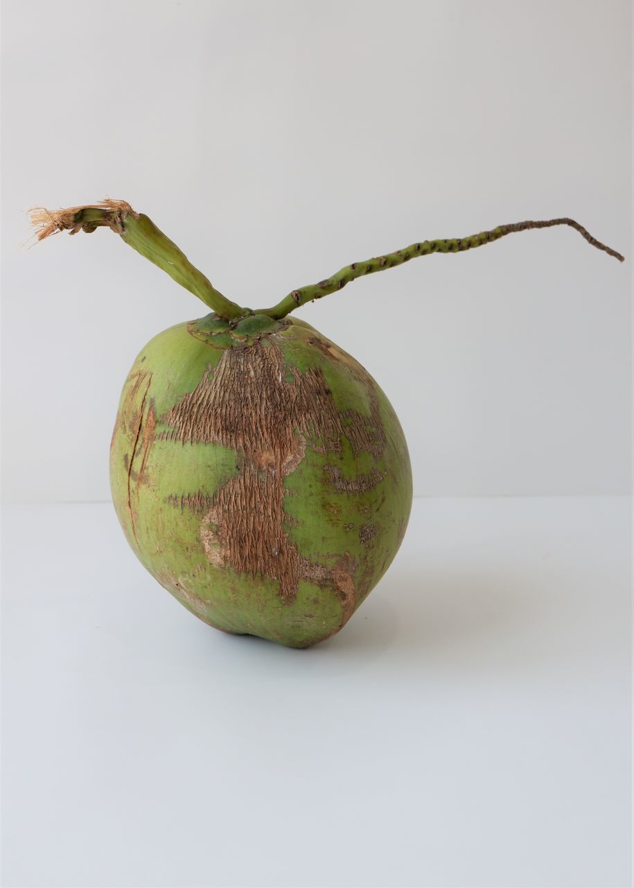 CLOSE-UP OF FRUIT ON WHITE BACKGROUND