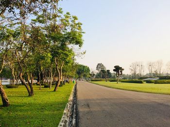 Empty road along trees and plants against sky