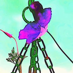 Low angle view of flowers against blue sky