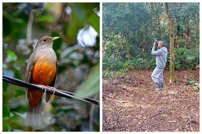 Full length of bird perching on leaf