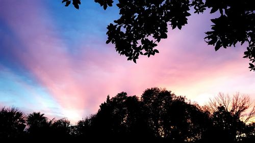 Low angle view of silhouette trees against sky at sunset