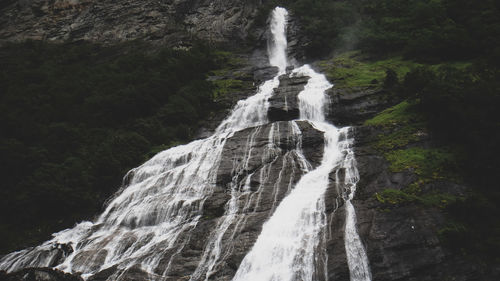 Low angle view of waterfall in forest