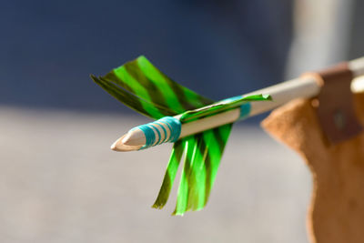 Close-up of hand holding leaf