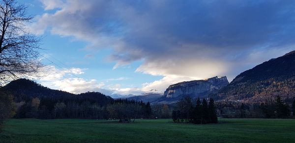 Scenic view of field against sky