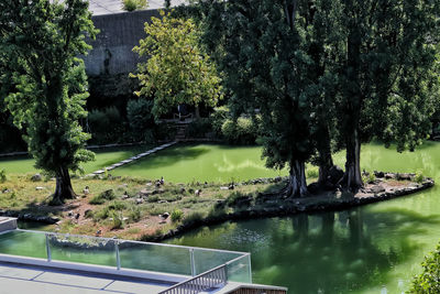 Scenic view of lake by trees