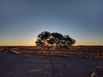 Trees on landscape against clear sky at sunset