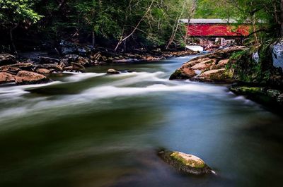 River flowing through rocks in forest